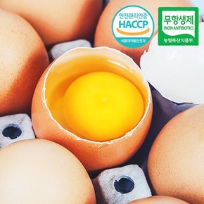 [무항생제/HACCP] 농장직송 웰굿 신선한 계란 30구(1판,대란)