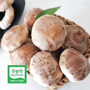 산해리농장 영양 무농약 버섯 착한 송이 450g 상품
