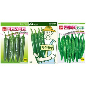 초록고추 씨앗종자 3종세트 (따고또따고,화신청양,한림꽈리풋고추)