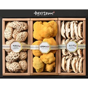 [형지표고버섯] 백화고 상황버섯 혼합1호 표고버섯 선물세트