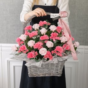 홈카네이션바구니Aset 45cm P 조화 꽃 어버이날 선물[무료배송]
