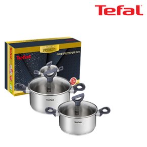 [Tefal] 테팔 라피네 인덕션 프리미엄 냄비(양수18+20)