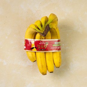 [필리핀산] 고당도 감숙왕 바나나 (1.2kg내외)