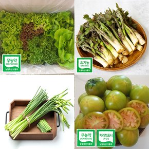 [제철과일채소] 친환경 유기농 샐러드 두릅 짭짤이 토마토 방울토마토 새싹삼