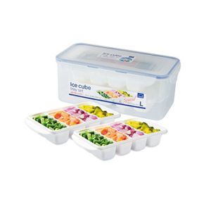 락앤락 실용적인 주방용품 냉동실 양념 마늘 야채 보관용기-대 HPP224S2