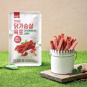 닭가슴살 육포 매콤맛 30g(1팩)