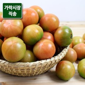 가락시장직송 대저토마토 2.5kg (3-4번과)