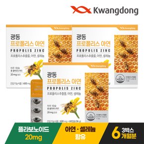 광동 프로폴리스 아연 60캡슐 3박스(6개월분) / 플라보노이드 셀레늄