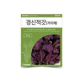 베하몰 텃밭 채소 씨앗 경신 적갓 (겨자채)