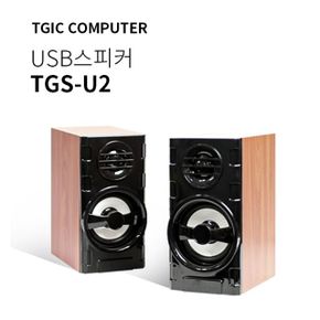 TGIC PC스피커/TGS-U2/우퍼/게임/음악/2채널