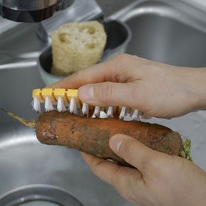 당근 야채 세척솔 무 고구마 감자 오염 세척 브러쉬 X ( 4매입 )