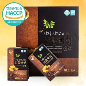 [웰굿]HACCP 산양삼 품은 상황버섯 진액 선물세트(70mlx60,2box)(+선물...