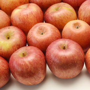 [경상북도][산지직송] 과즙가득 의성 흠집 사과(중) 10kg