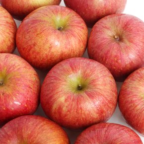 [유명산지] 달콤한 부사 사과 3kg 14과내