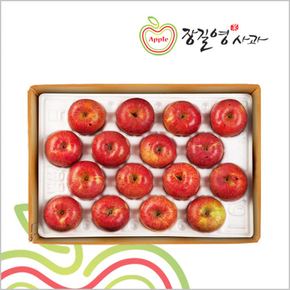 사과 알뜰 특대과 5kg(10~16과)
