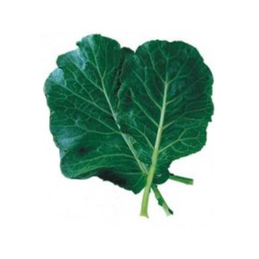 건강 녹즙채소 야채 쌈 채소 케일 품종 종자 씨앗 50g