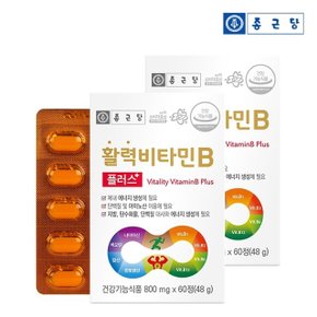 활력 비타민B 플러스(800mgX60정) 2박스