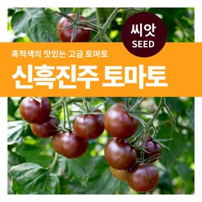 신흑진주 토마토 야채 씨앗 30립