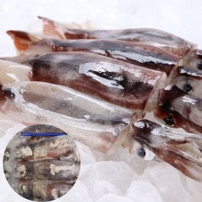 배동바지 원양산 냉동 오징어(M size) 20kg 44미 내외