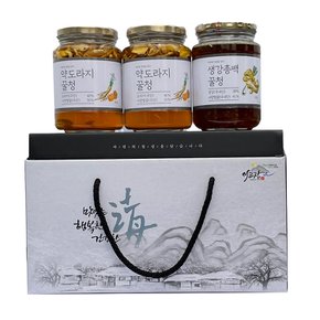 꿀청 3종 선물세트 약도라지꿀청 500g X 2개 + 생강총백꿀청 500g X 1개, 1세트(+선물세트)