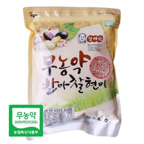 장세순 무농약 발아찰현미 1kg