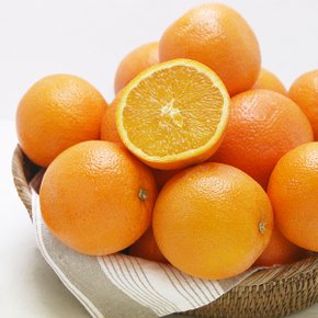 [후레쉬데이] 네이블 오렌지 6kg /개당 200g이상 (중과)