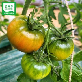 [도시농부] 부산 대저 토마토 가정용 2.5kg  L사이즈