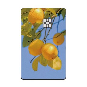 Lemon tree 디자인 카드 스킨 리무버블 스티커