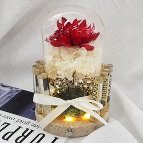 (SSG단독) 용돈 쥬얼리다알리아 카네이션 꽃 유리돔 무드등 어버이날 선물