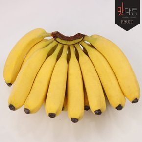 [필리핀] 고당도 바나나 6kg내외 1박스 (4~5수)_아이스박스