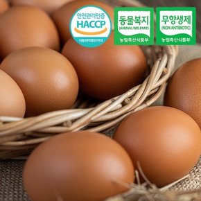 [동물복지/무항생제/HACCP] 웰굿 구운유정란 계란 60구(대-특란)