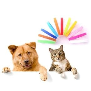 PET 새끼 강아지 목걸이 12색 컬러 네임택 출산준비물 (WC01E5B)