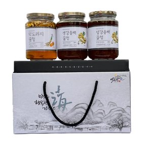 꿀청 3종 선물세트 생강총백꿀청 500g X 2개 + 약도라지꿀청 500g X 1개, 1세트(+선물세트)