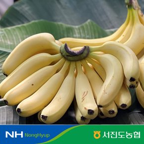 국내산 무농약 진도 바나나 1.5kg