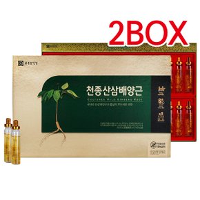 종근당 천종산삼배양근 20ml*30병 /앰플 2BOX