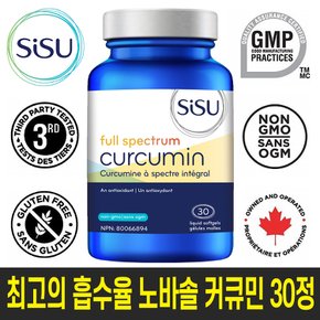 [SISU] 최고의 흡수율 노바솔 커큐민 30정