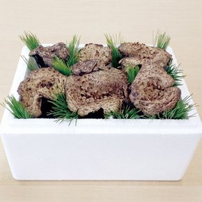 [강원도 양양 출고] 국내산 냉동 능이버섯 1kg