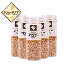 G 고대곡물 정품 카무트쌀 1kg x 5개