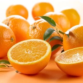 [고량몰라] 고당도 오렌지 17kg (56과)
