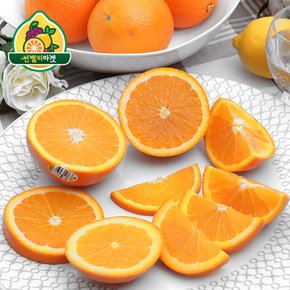 미국산 네이블 오렌지 특대과 56입 17kg