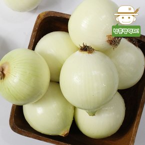 [삼촌농장] 간편 무안 깐 양파(대특) 20kg(식자재용)