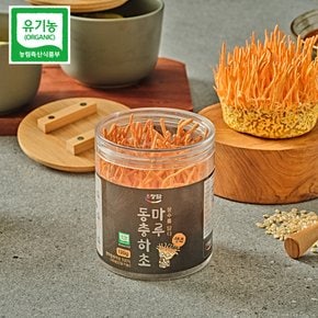 [무료배송] 국내산 유기농 현미 동충하초 생초 120g