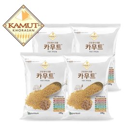 G 고대곡물 정품 카무트쌀 500g x 4봉