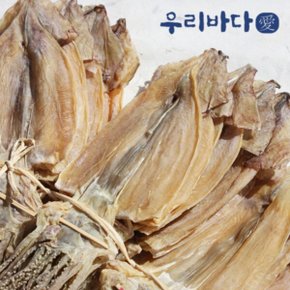 건오징어 특대 10미 (750g내외)