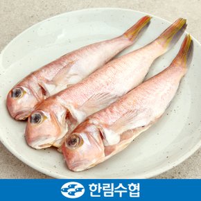 [제주 한림수협] 제주 통 옥돔 6미 700g(350g*2팩) / 냉동