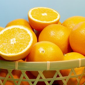 초이스 미국 네이블 오렌지 20입 (특대과300g내외 56과)