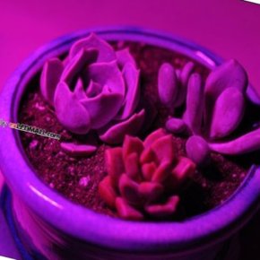 다타 5V USB 전원용 식물성장용 2.5W LED모듈 12CM 식물등스탠드 식물등LED 식물키우기