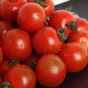 [무료배송] 망고맛토 스테비아 토마토 대추방울토마토 2kg(500g x4팩) 무료배송