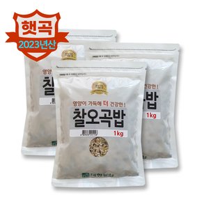 대한농산 국산 찰오곡밥 3kg(1kg3봉)