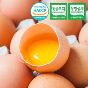 [동물복지/무항생제/HACCP] 웰굿 유정란 계란 40구(대-특란)